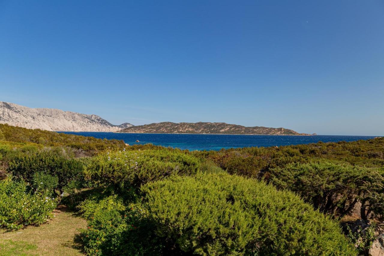 Appartamento Cala Paradiso Сан Теодоро Екстериор снимка